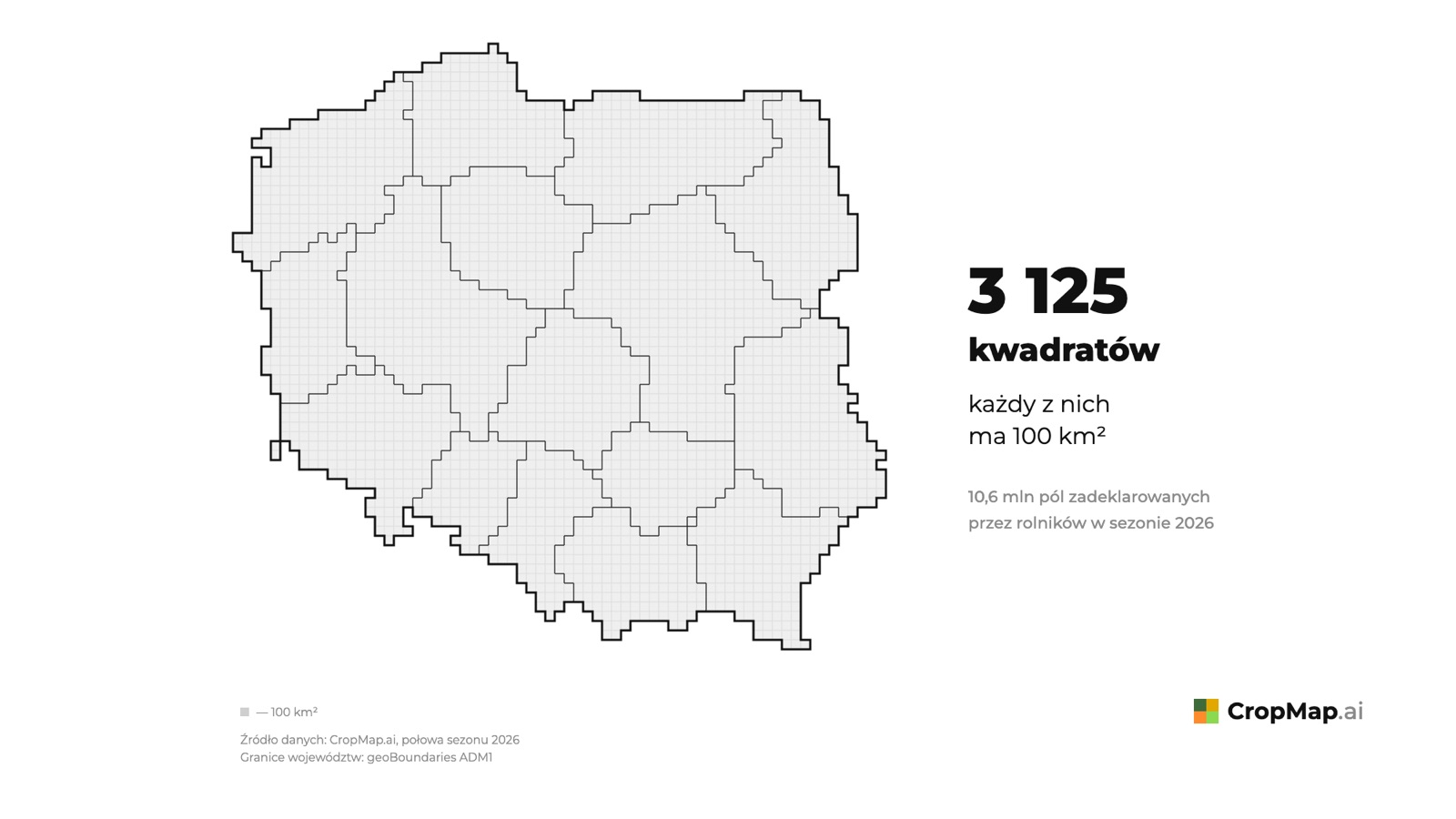 3 125 kwadratów każdy z nich