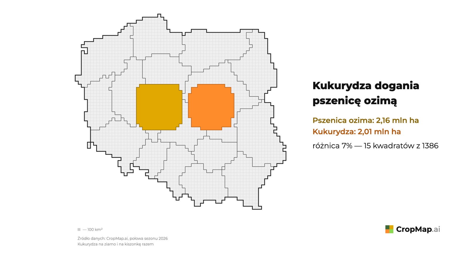 Kukurydza dogania pszenicę ozimą Pszenica ozima: 2,16 mln ha